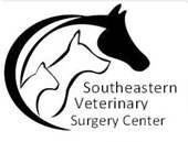 Surgery for Pets in Columbus, GA